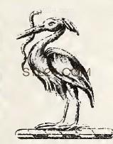 ANIMAL_0212